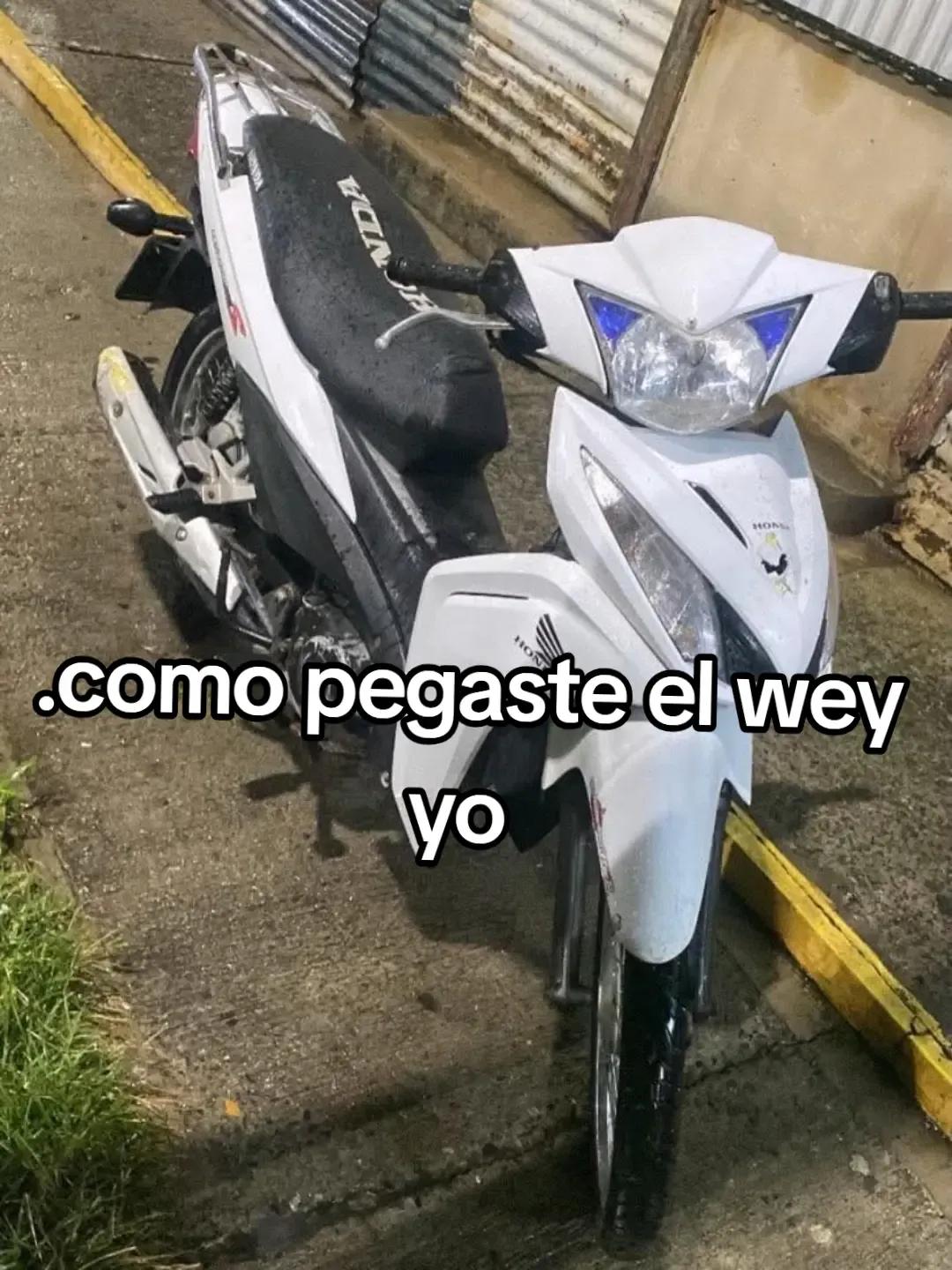@mpamarillo6666
