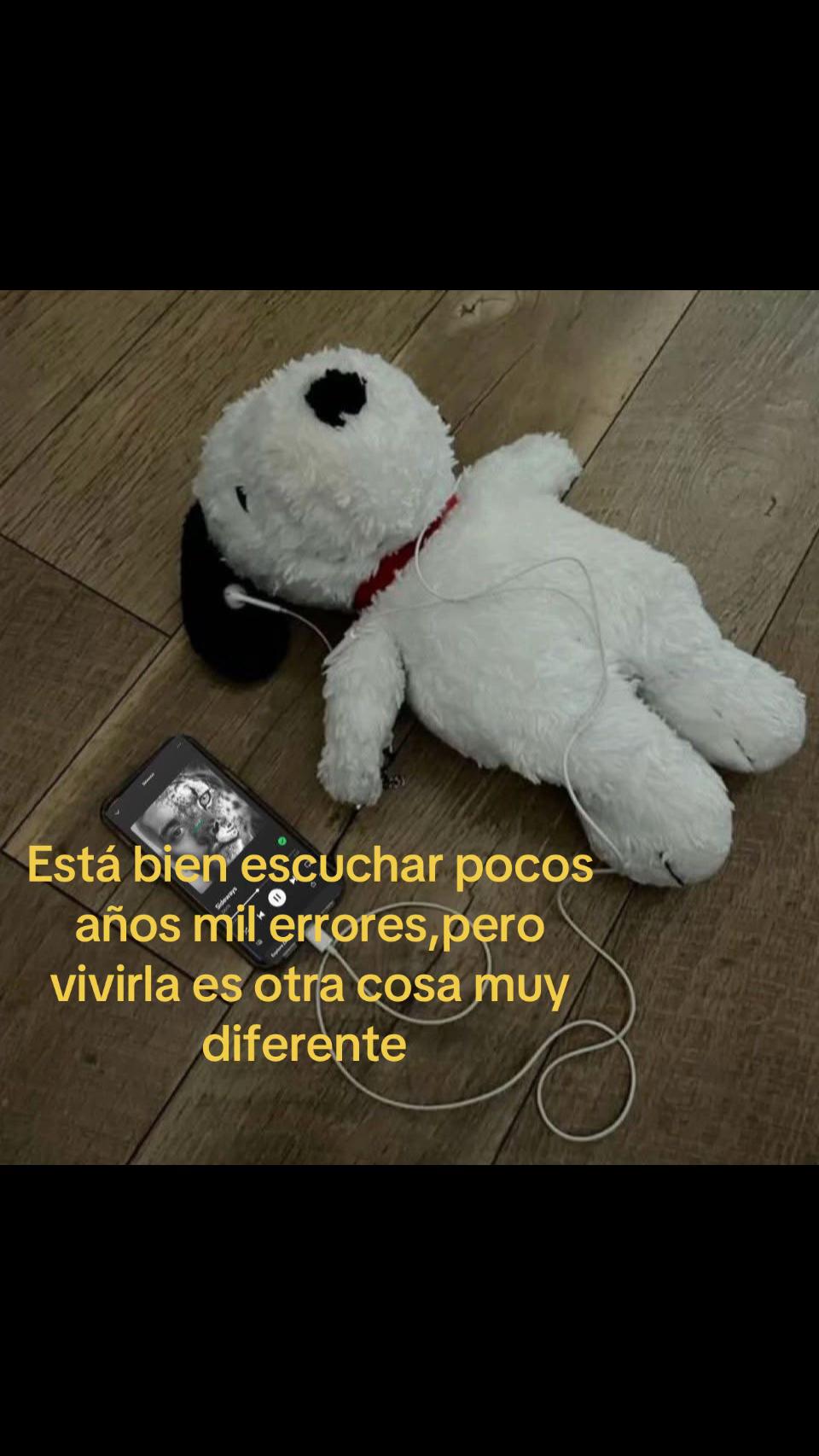 @snoopy_insanoxd