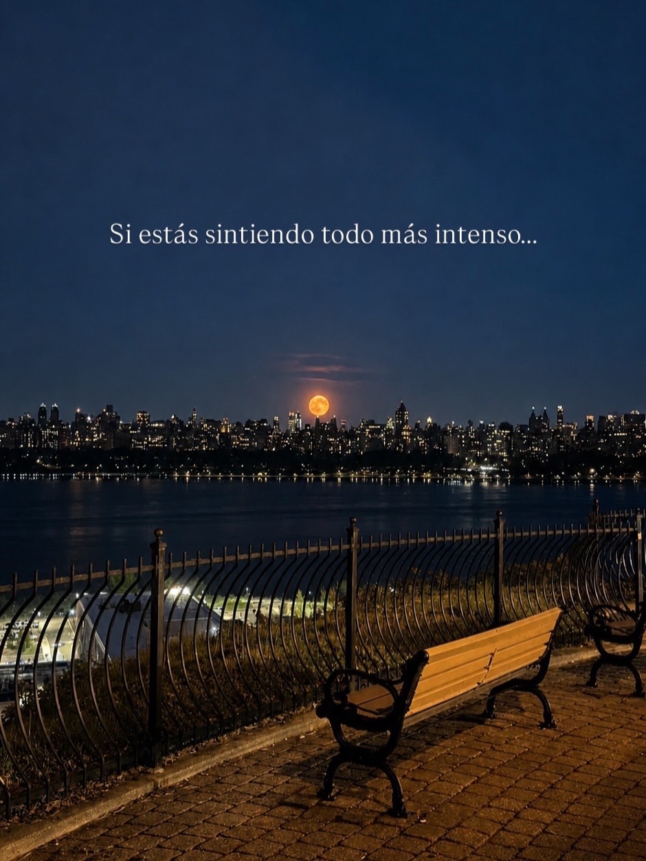 @NewFlorCity