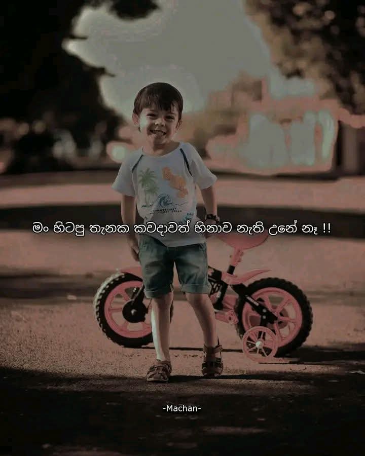 @Gaiya