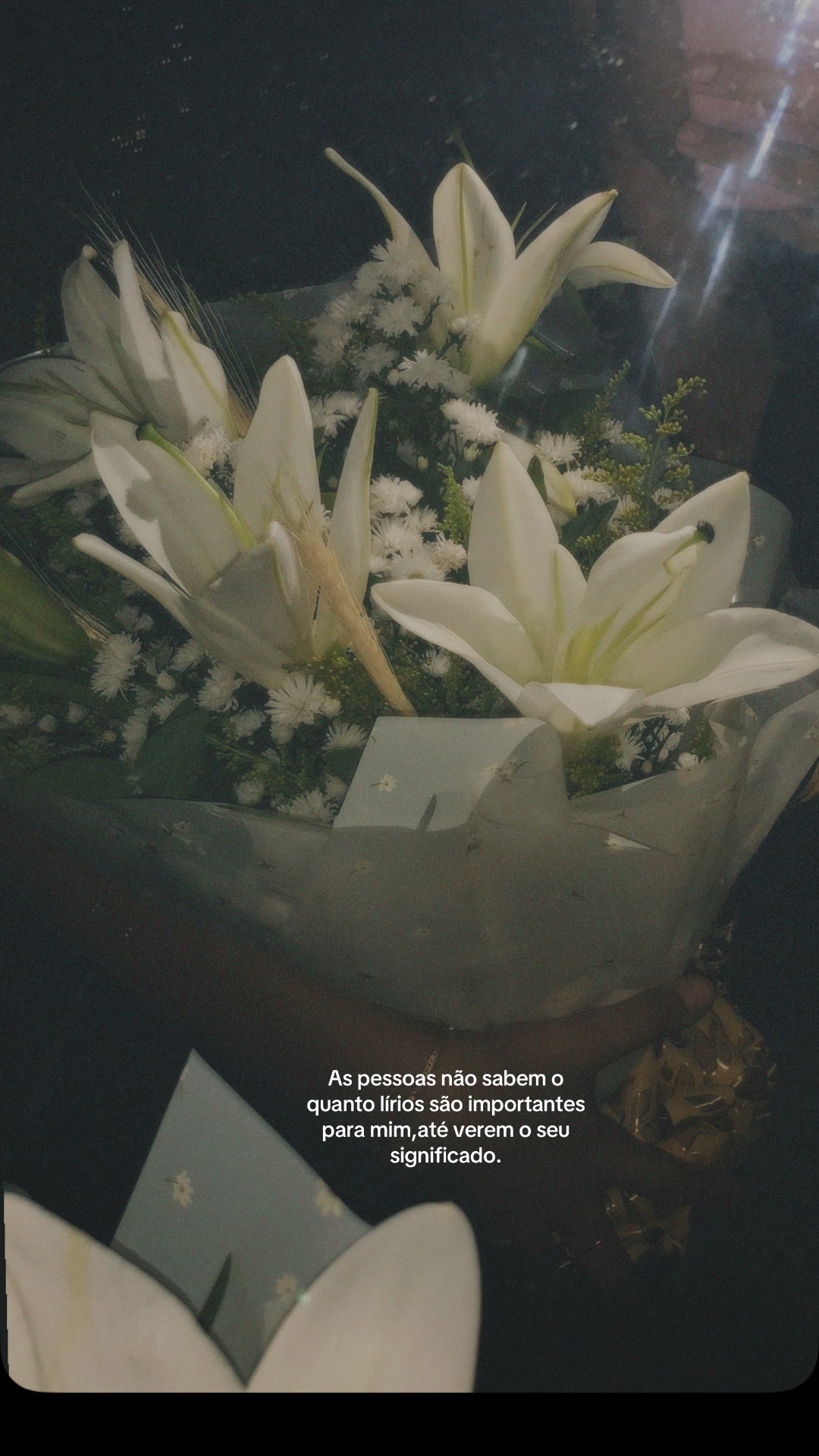 @Alyne Tházia S. ౨ৎ