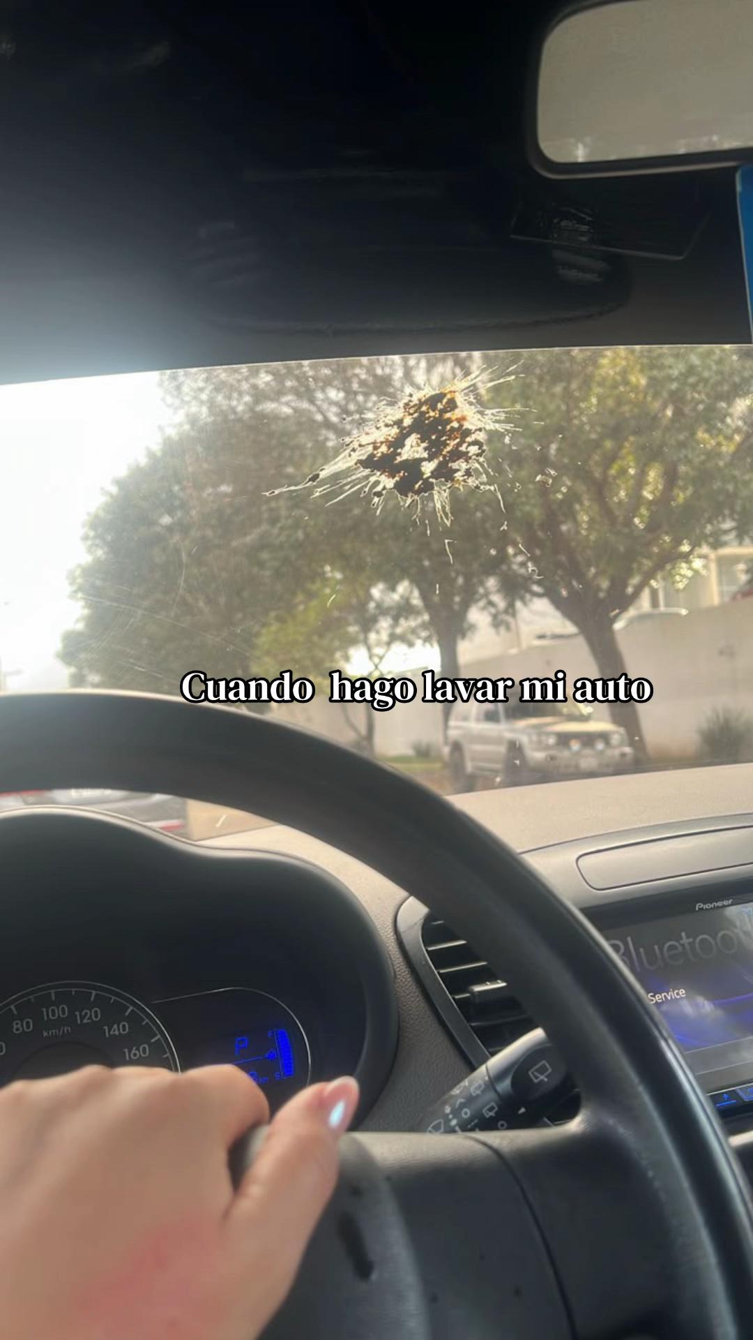 @Fabiana Terrazas Su&aacute;rez