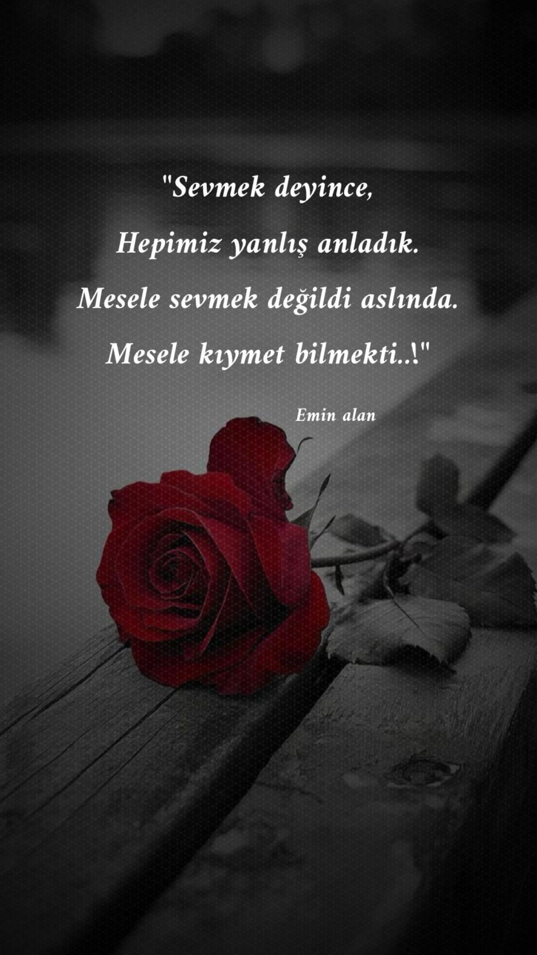 @Emin Alan