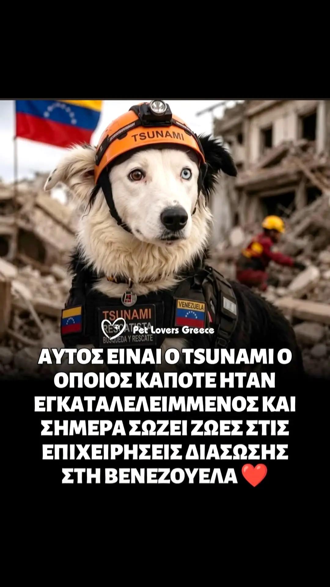@Kokkwn Kwstas