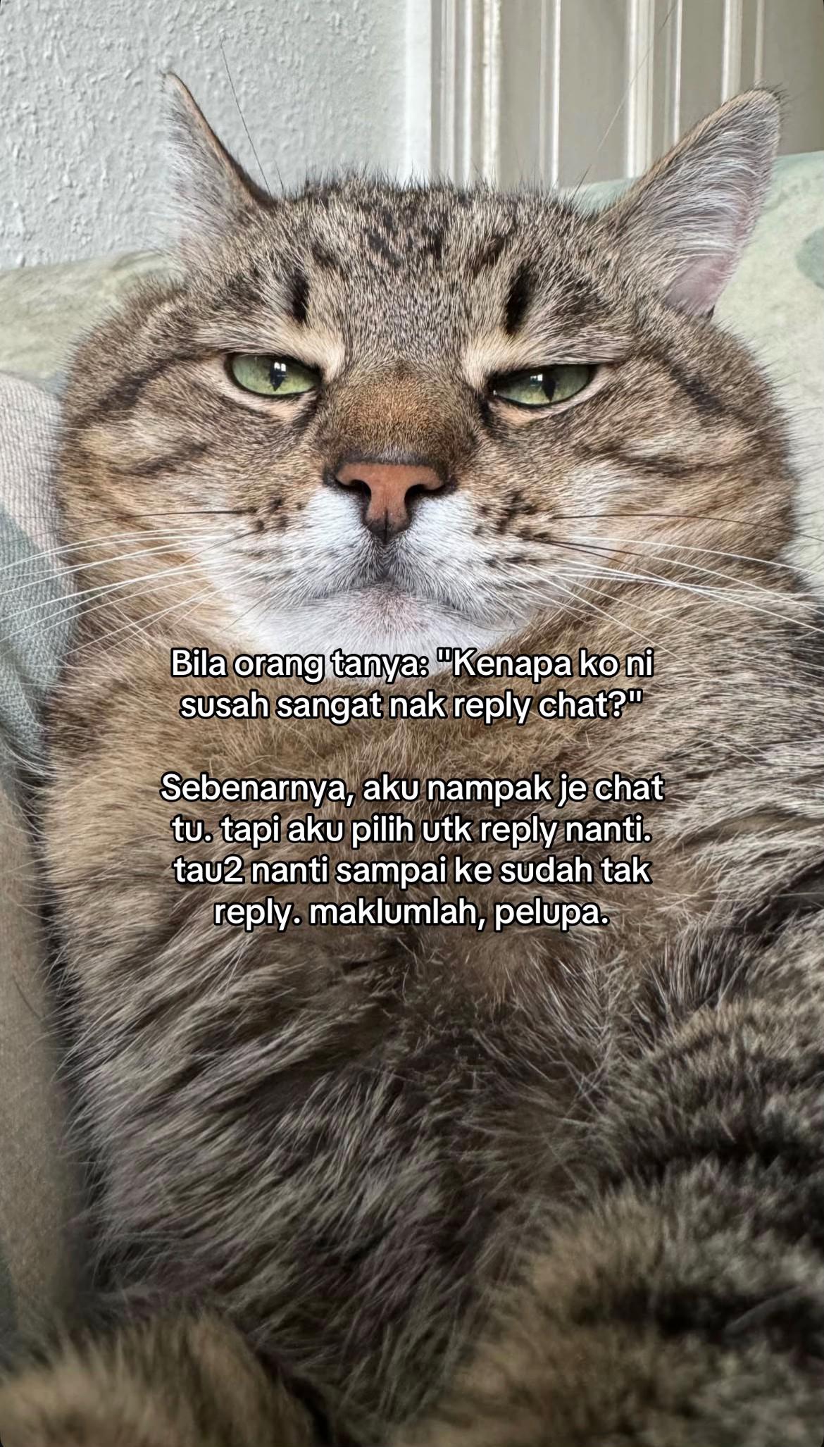 @ngeong prot prot