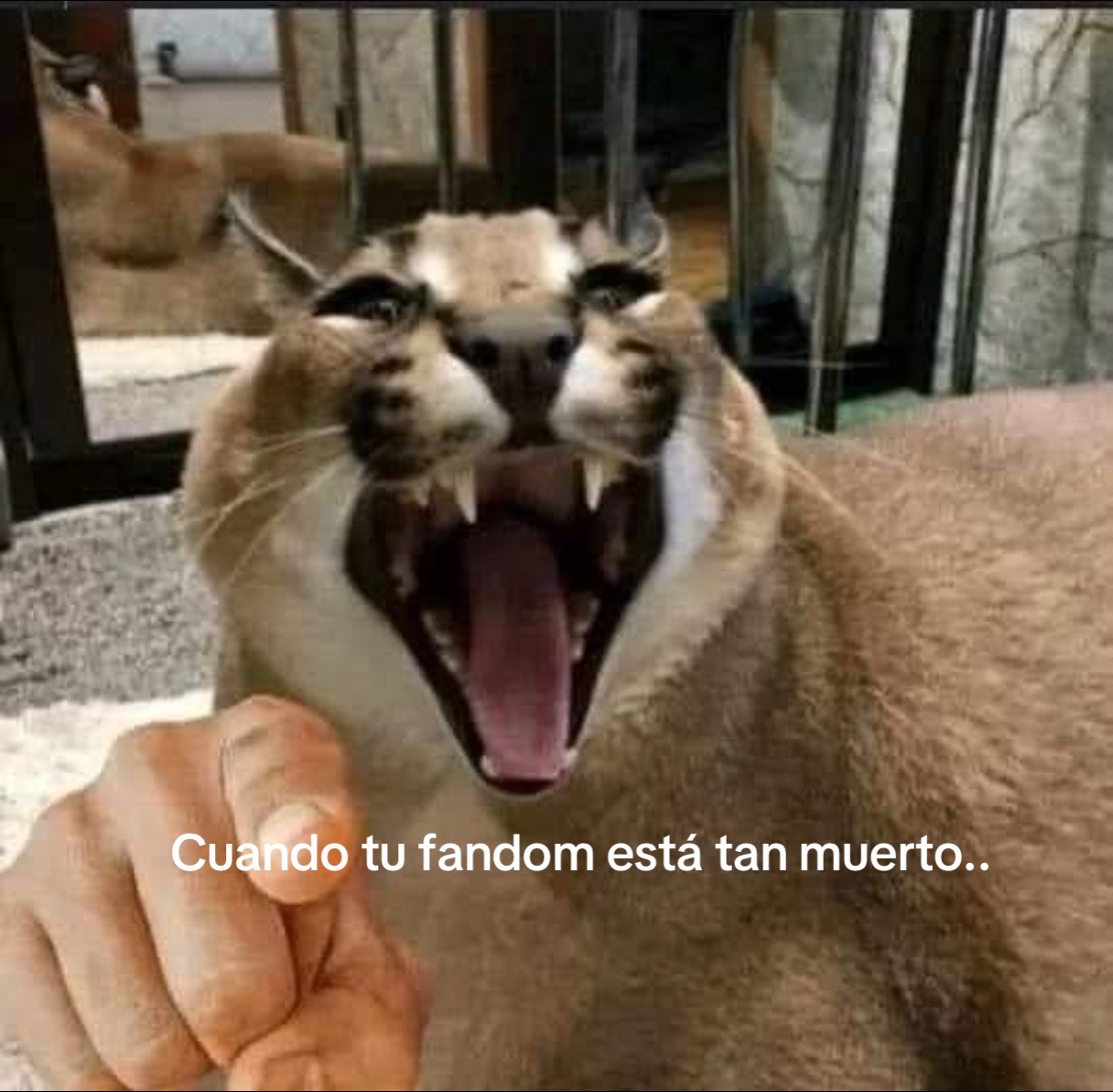 @FloppacontentYT