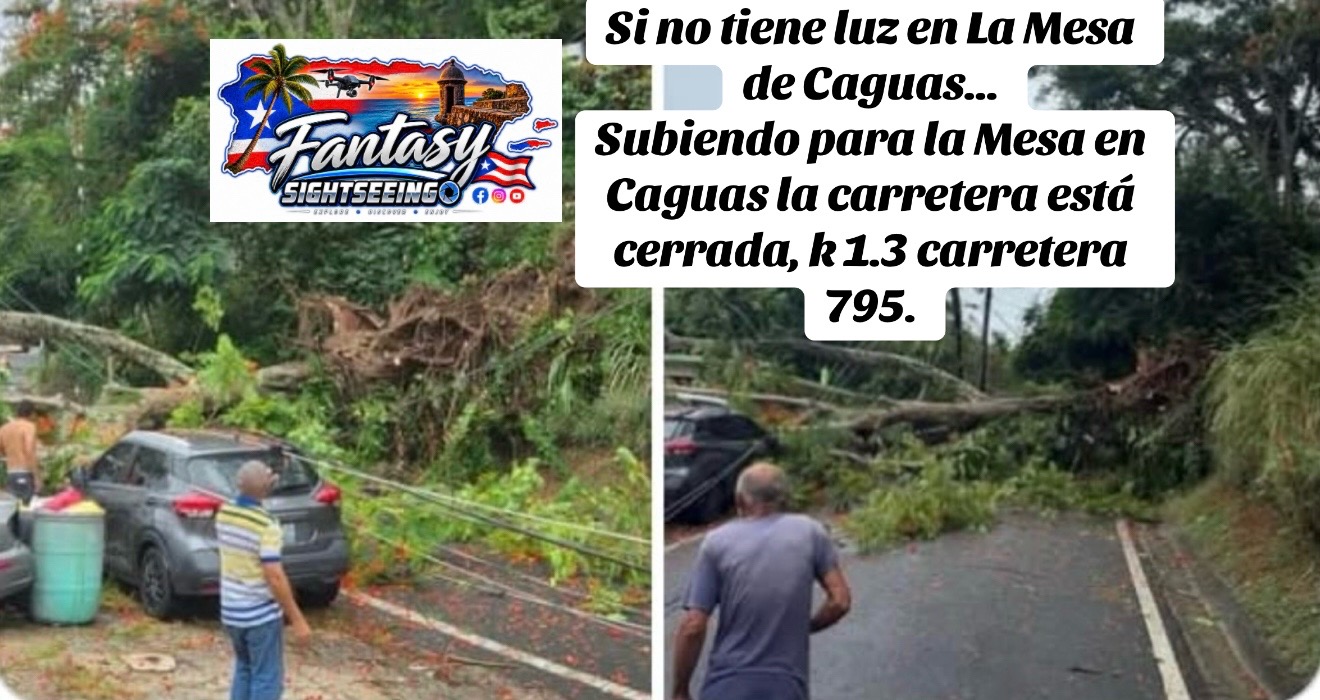 @Fantasy Sightseeing 🇵🇷