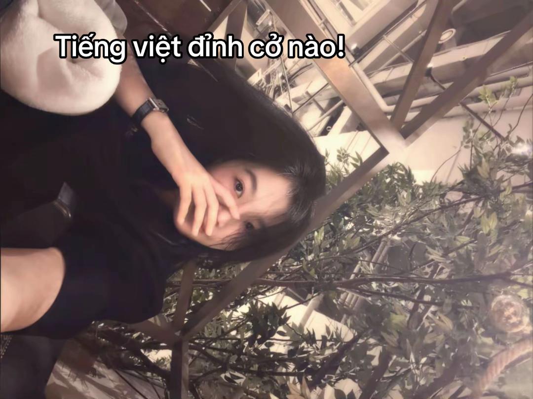 @LTBT🇻🇳🇰🇷 𓂃 ࣪ ִֶָ🦢་༘࿐