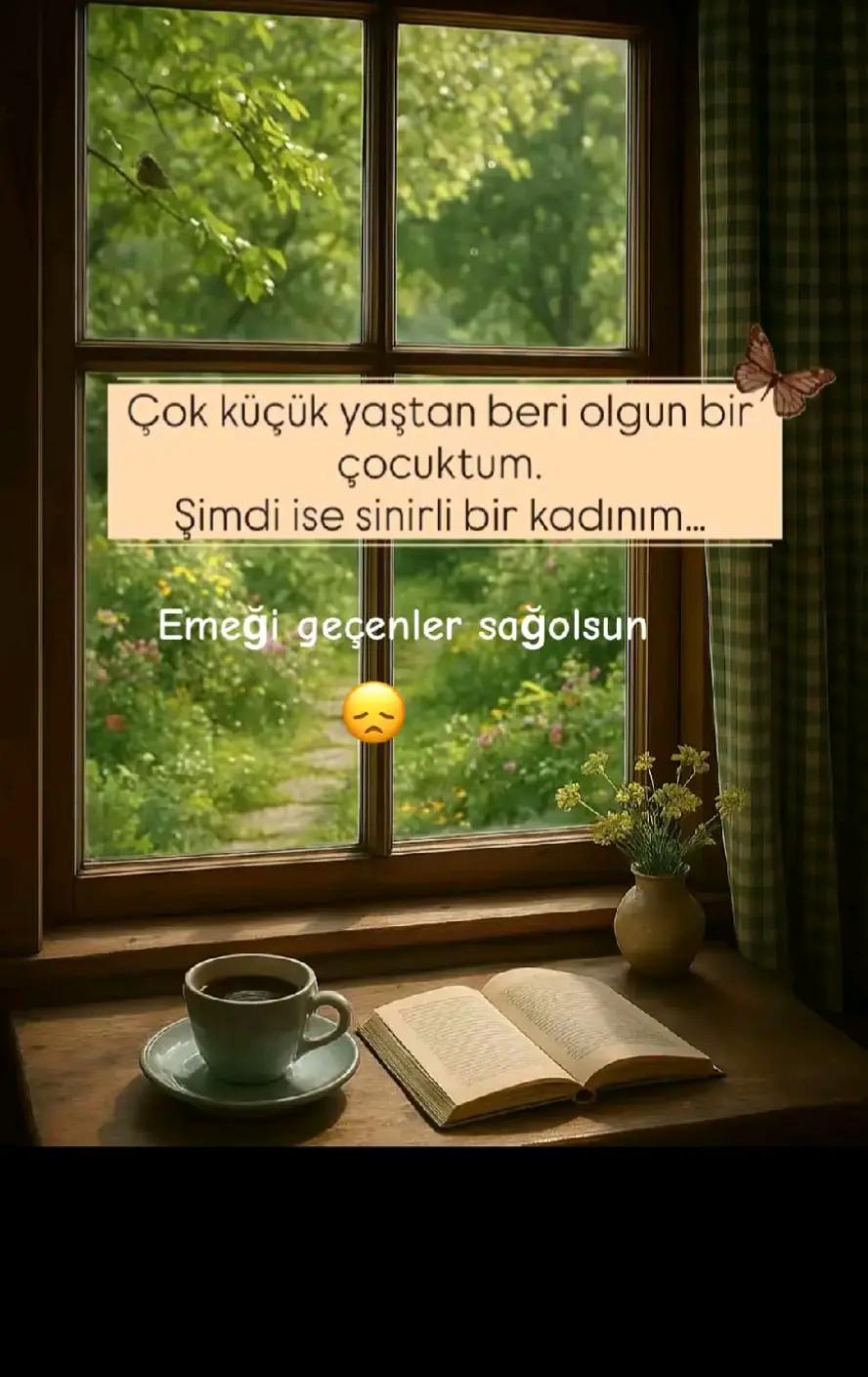 @hayattan izler