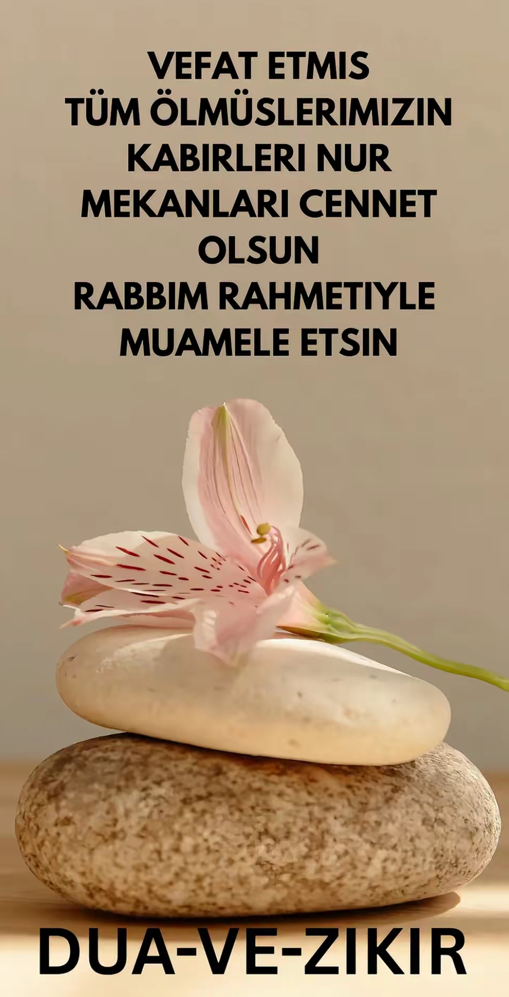 @aslan.44.44