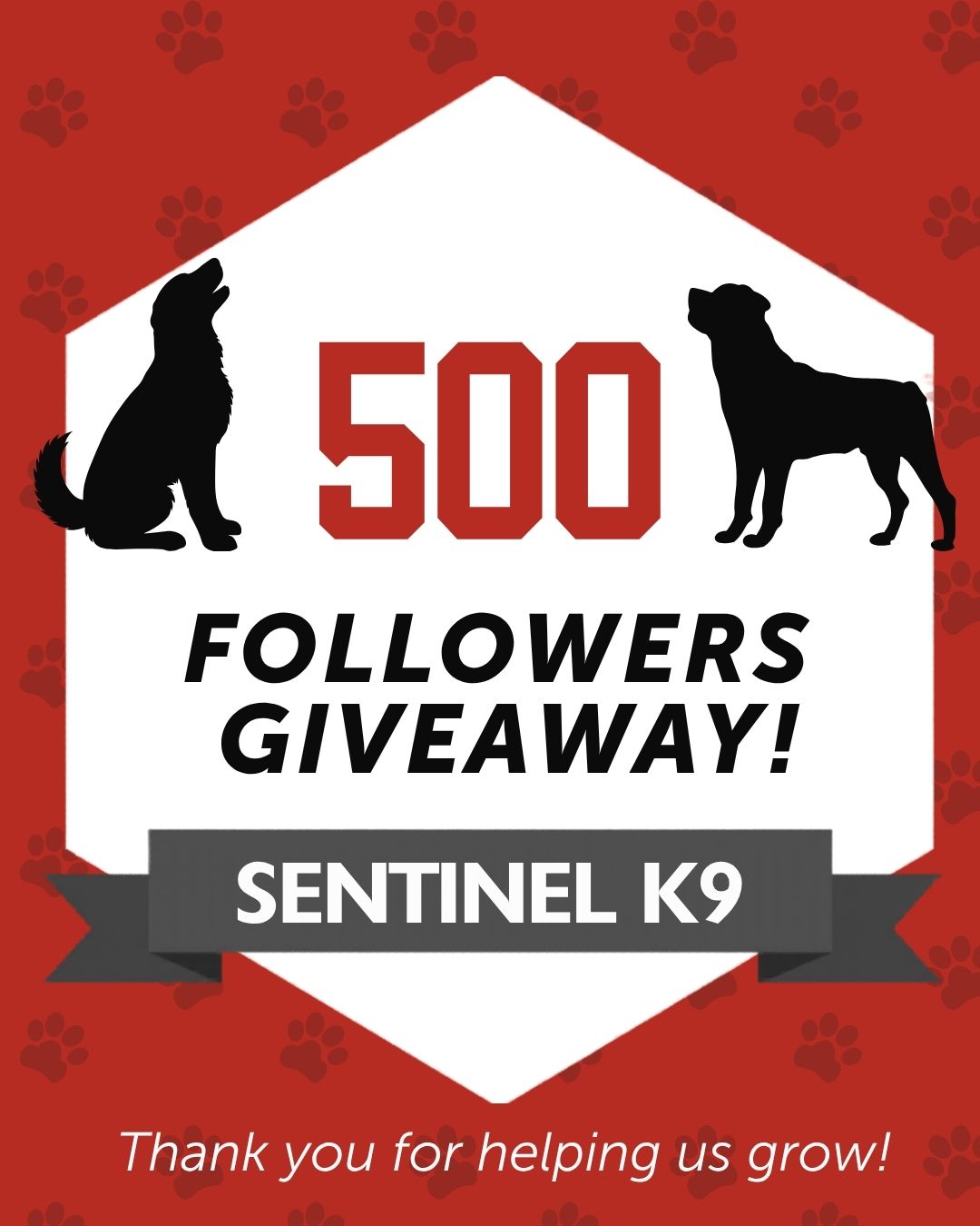 @Sentinel K9 | Dog Training