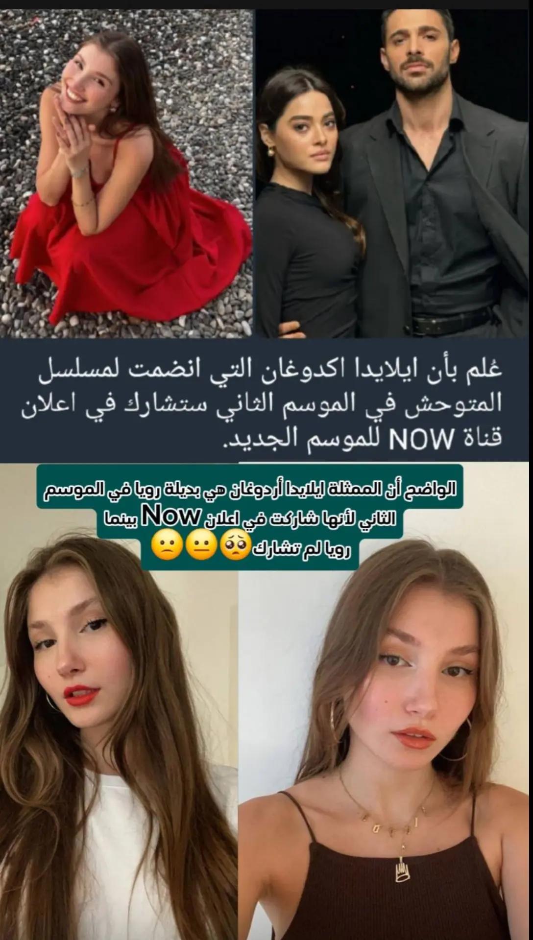 @alshamifan1919