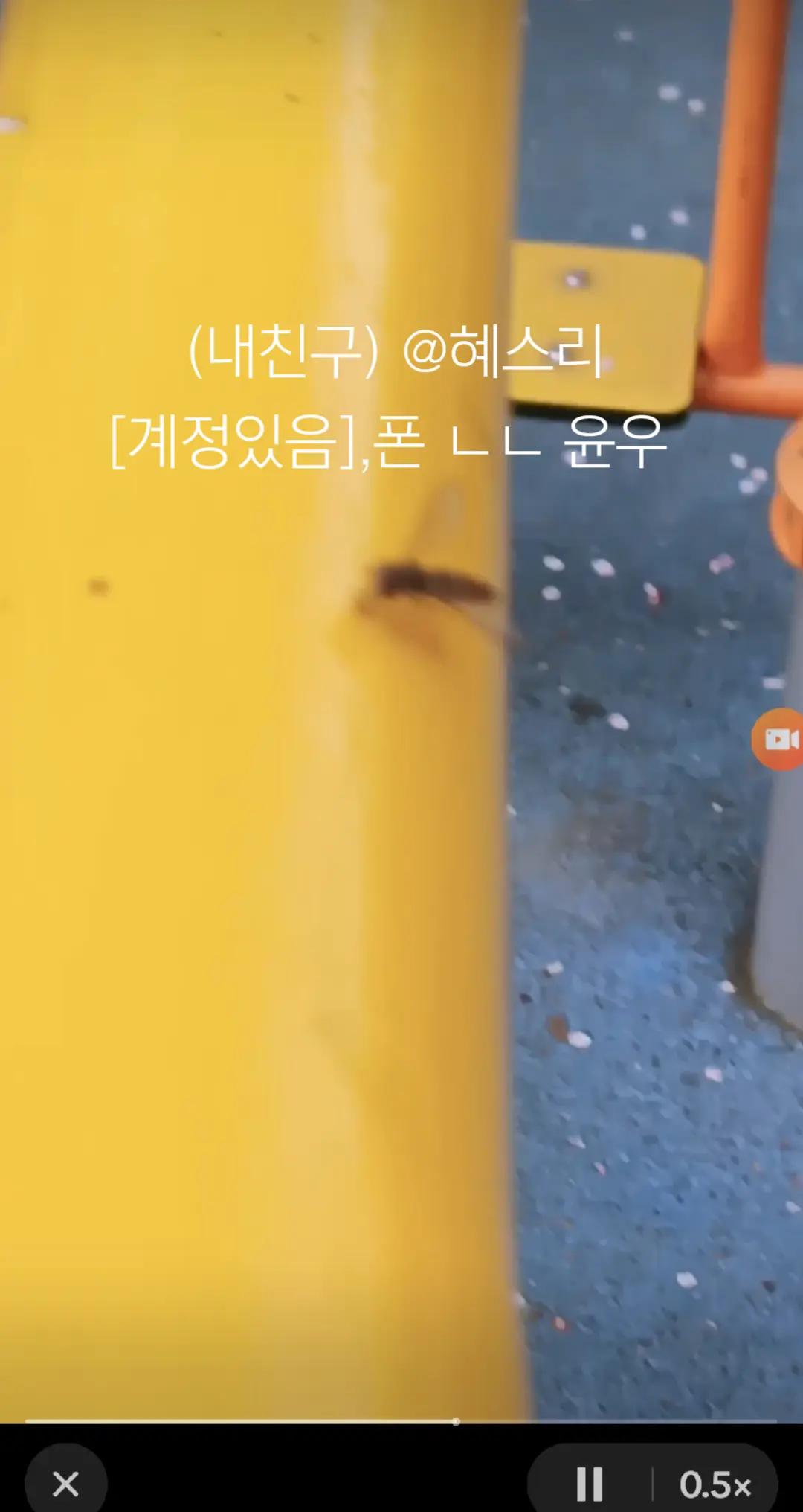@코닉세그