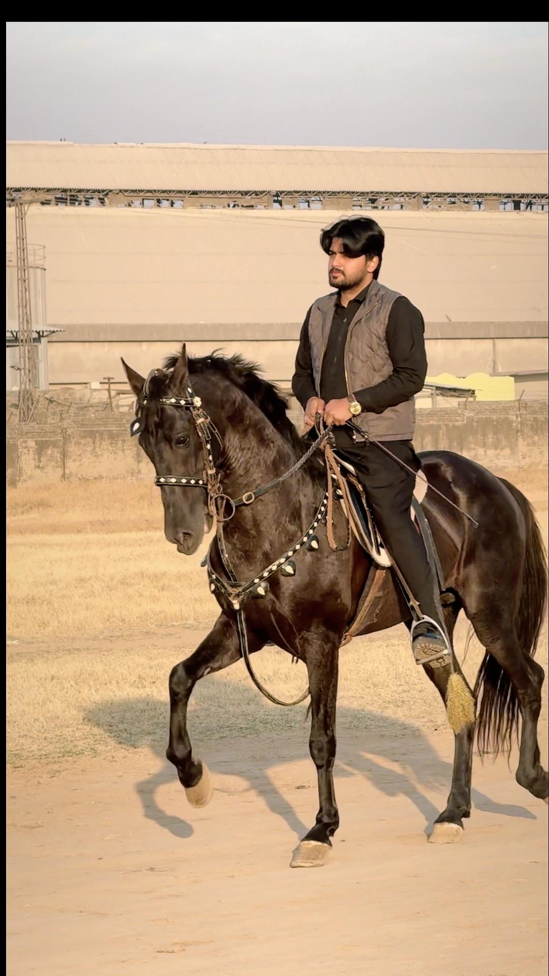 @HassanKazmi