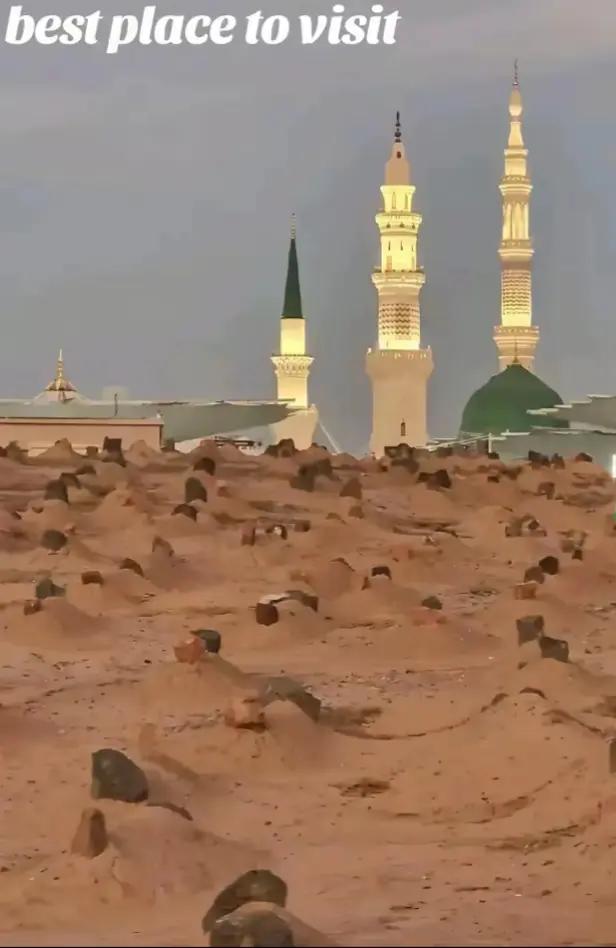 @Saeed Maher