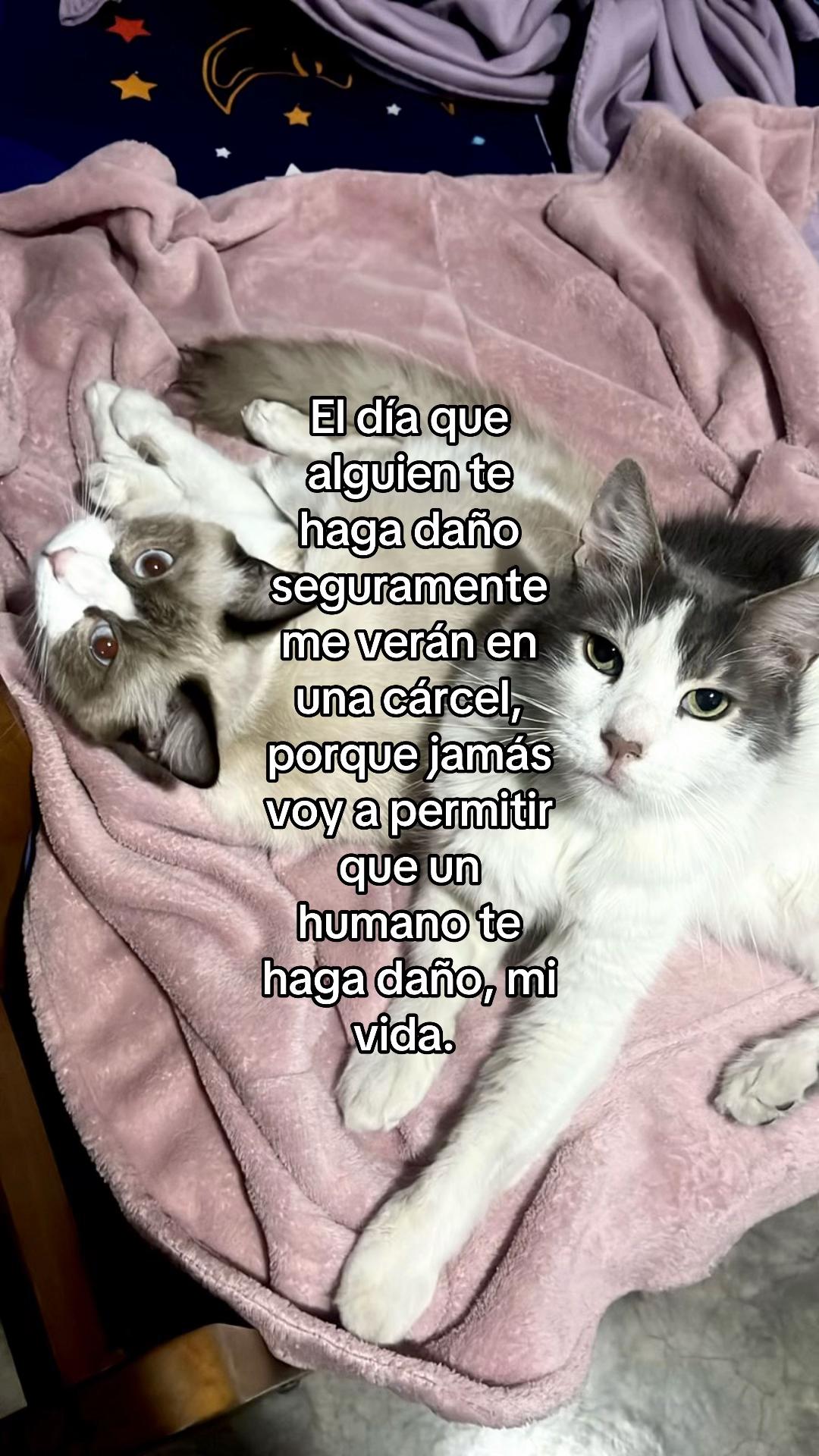 @la peque&ntilde;a lulu!
