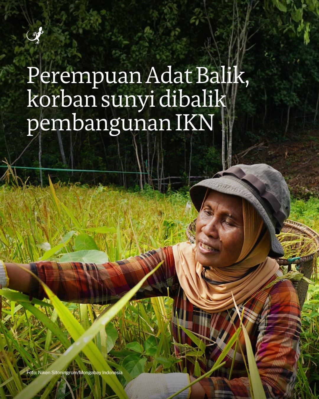 @mongabayindonesia