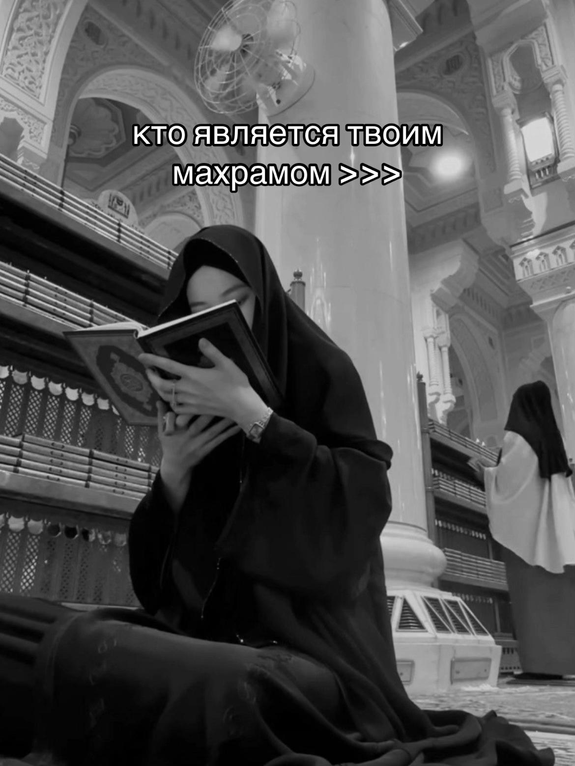 @hanifaaa.nn