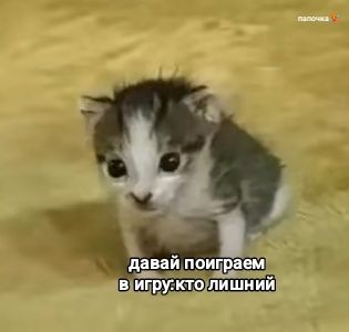 @сын фермера