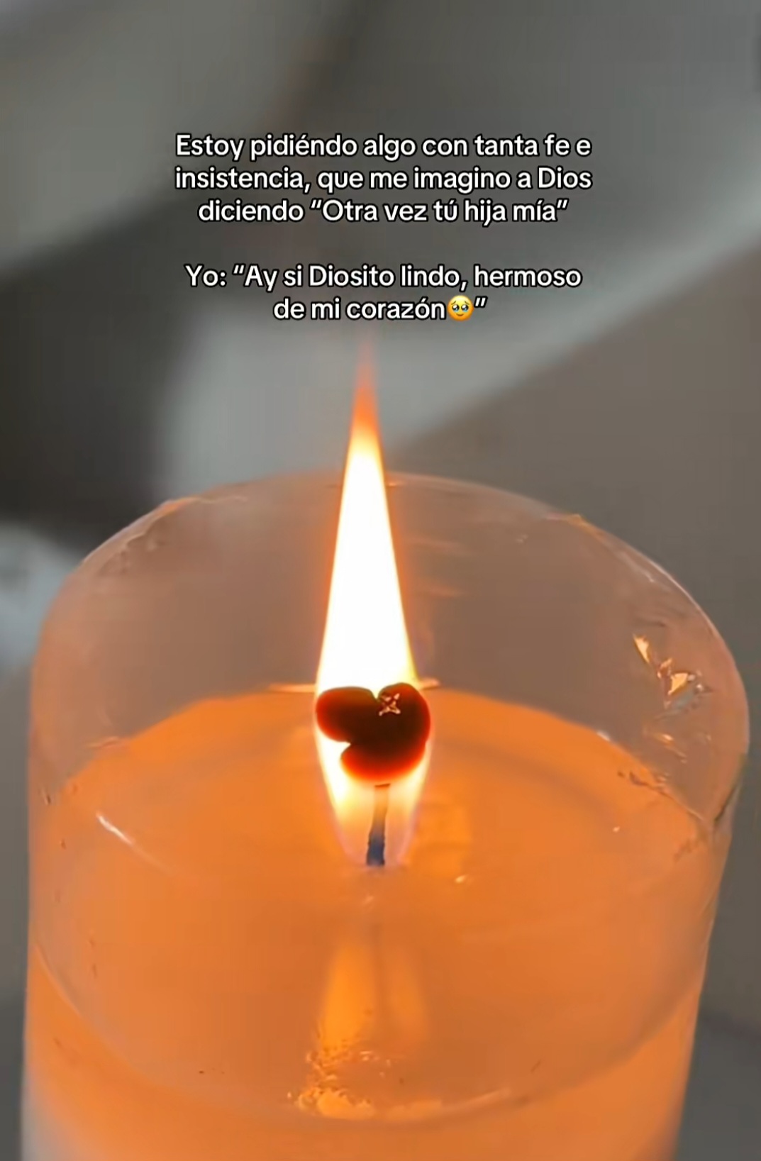 @Irma Bustamante