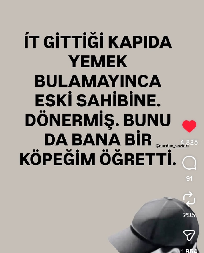 @🍂Zeynep 🍂Halil🍂