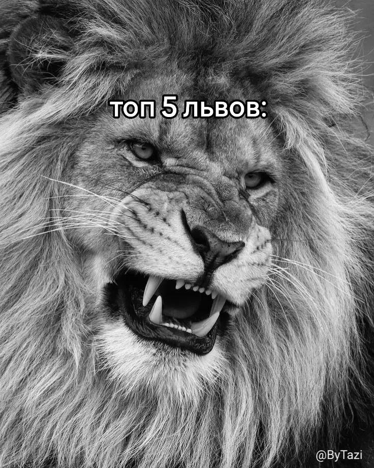 @Илья