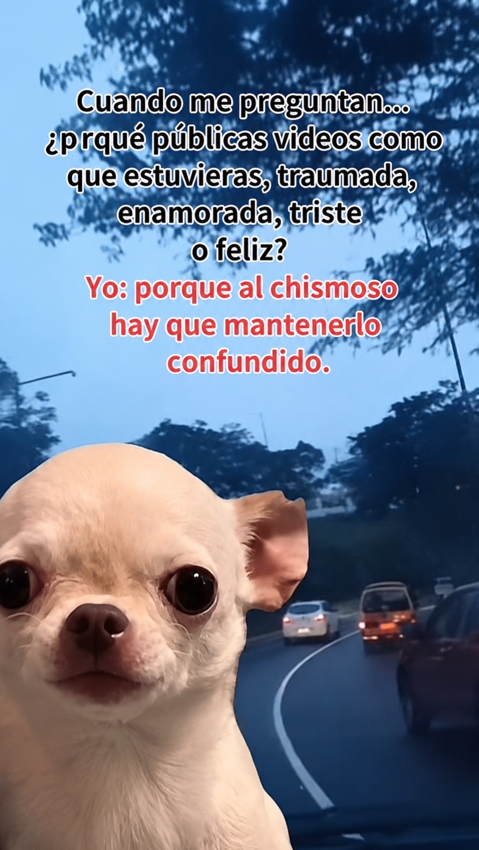 @💕🇨🇺🇮🇹🇺🇸Grey💕🇨🇺🇮🇹