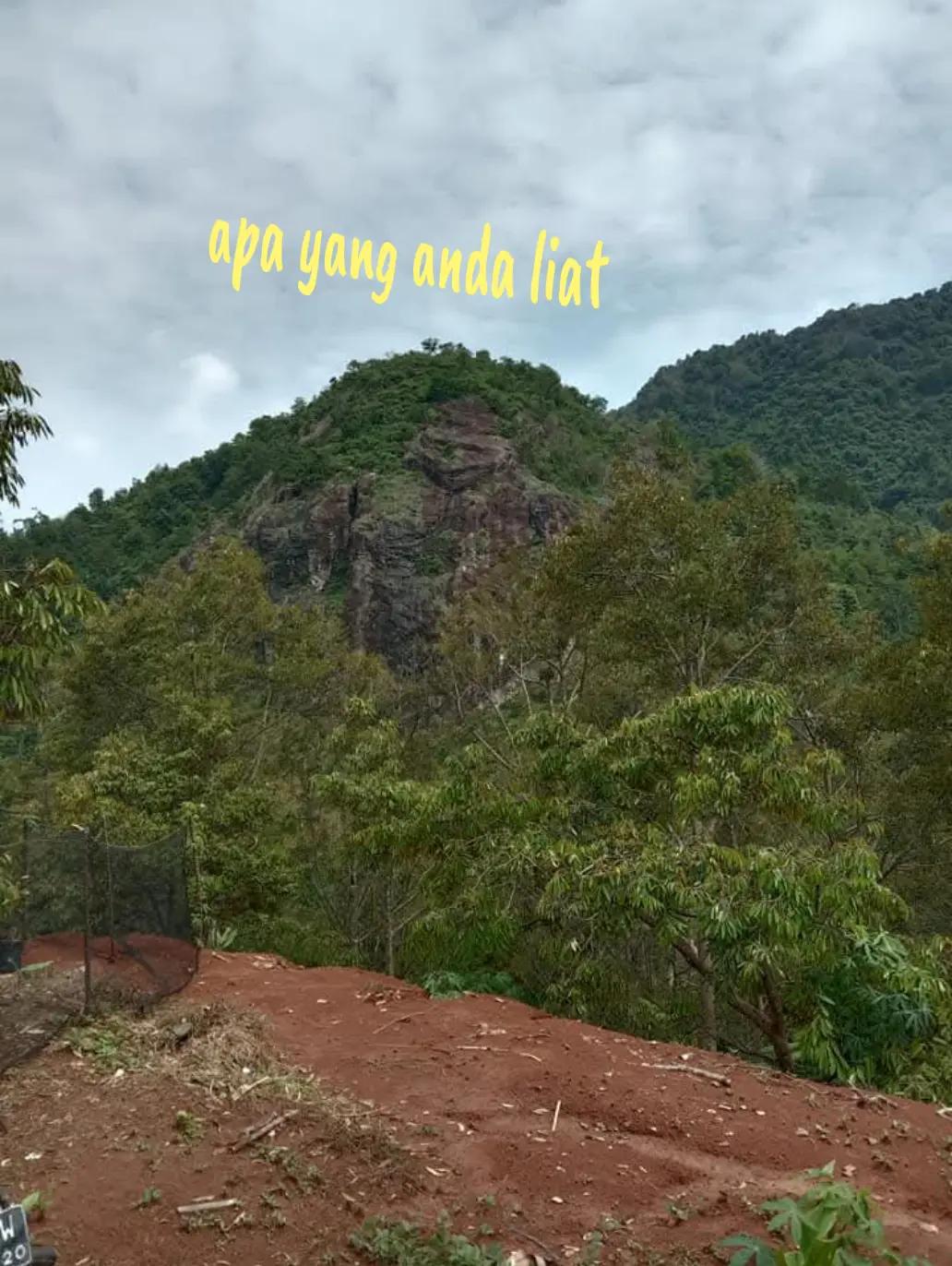 @OZIN