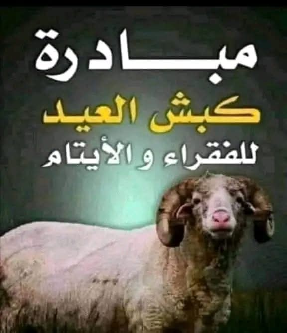 @🇩🇿غيث الجزائري 🇩🇿