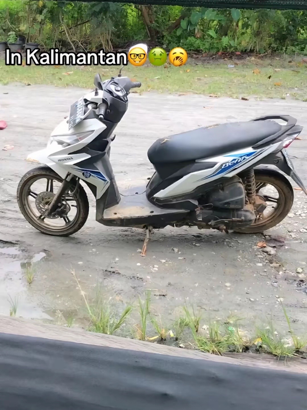 @knzptraprtma32