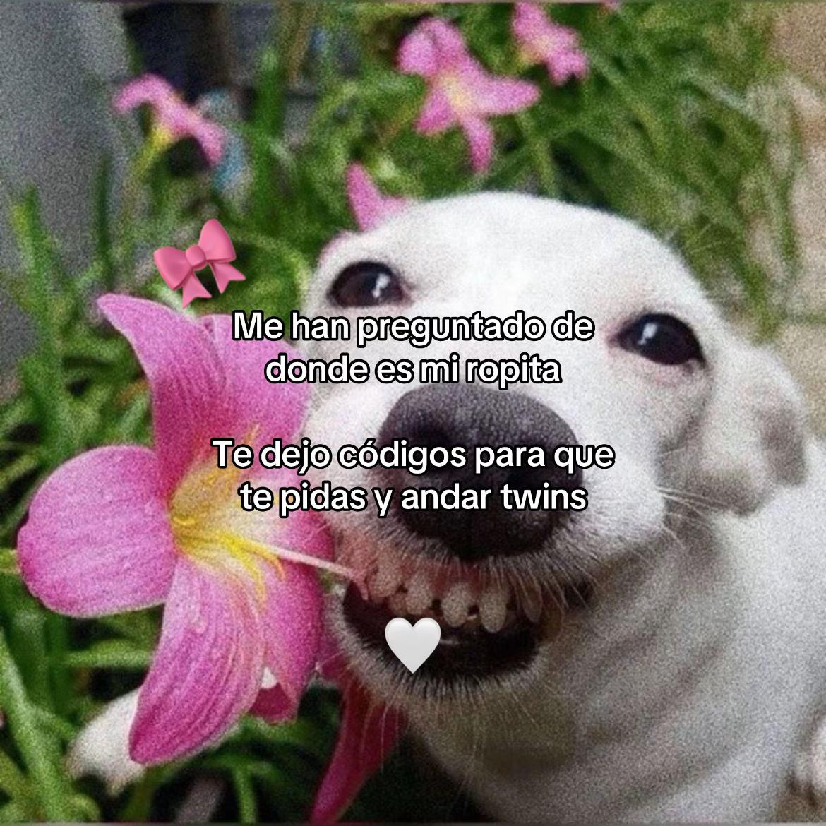 @Yami🤍