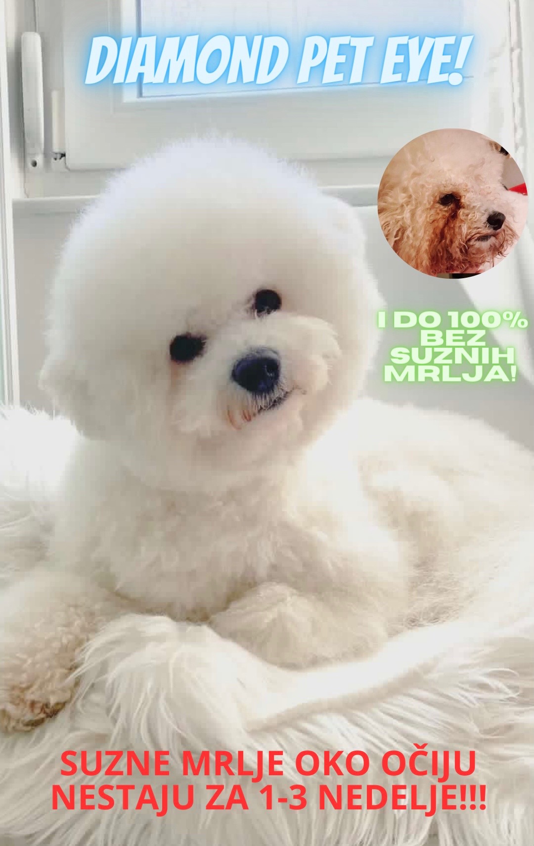 @Petvet
