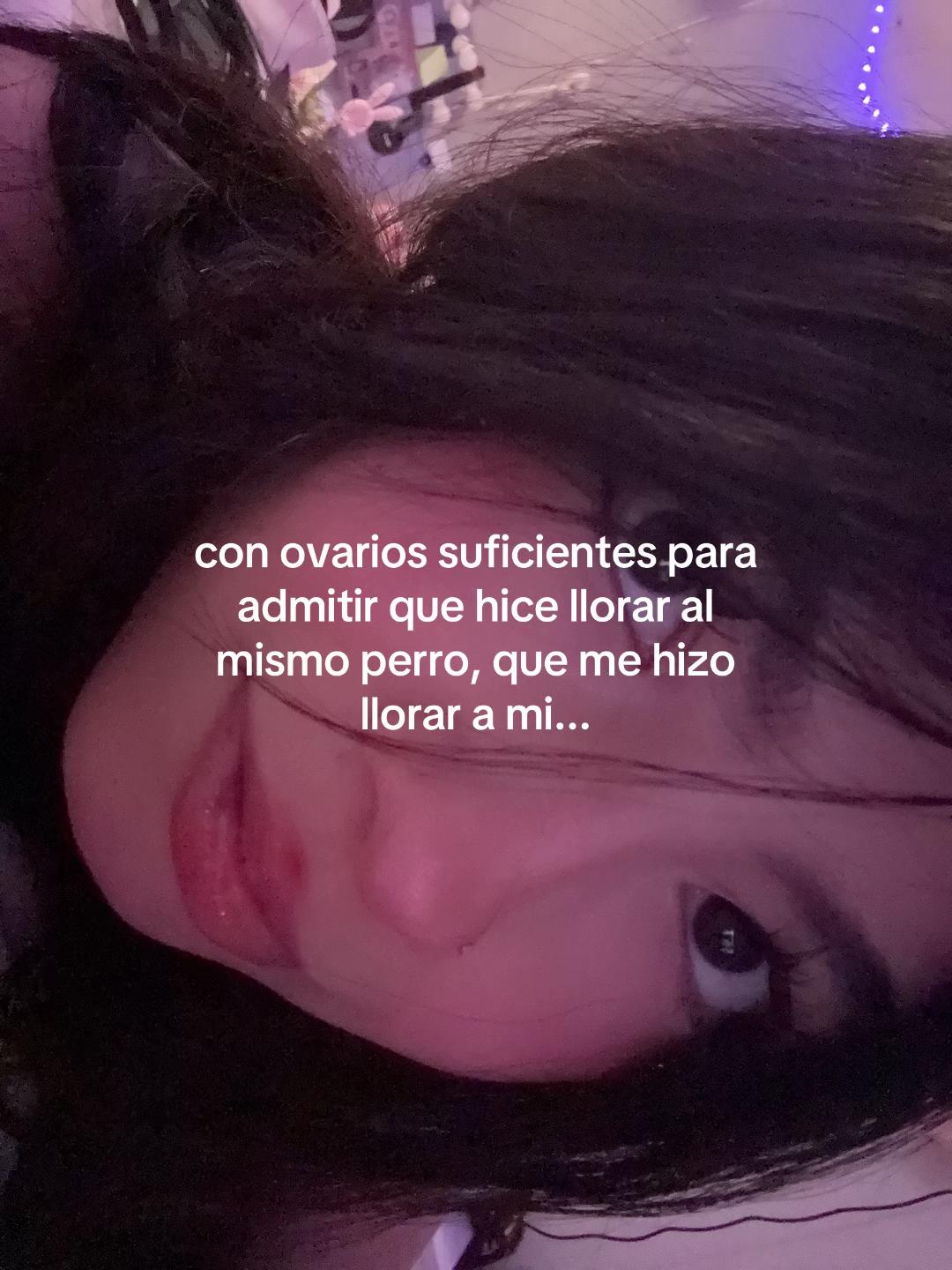 @ᓚᘏᗢ