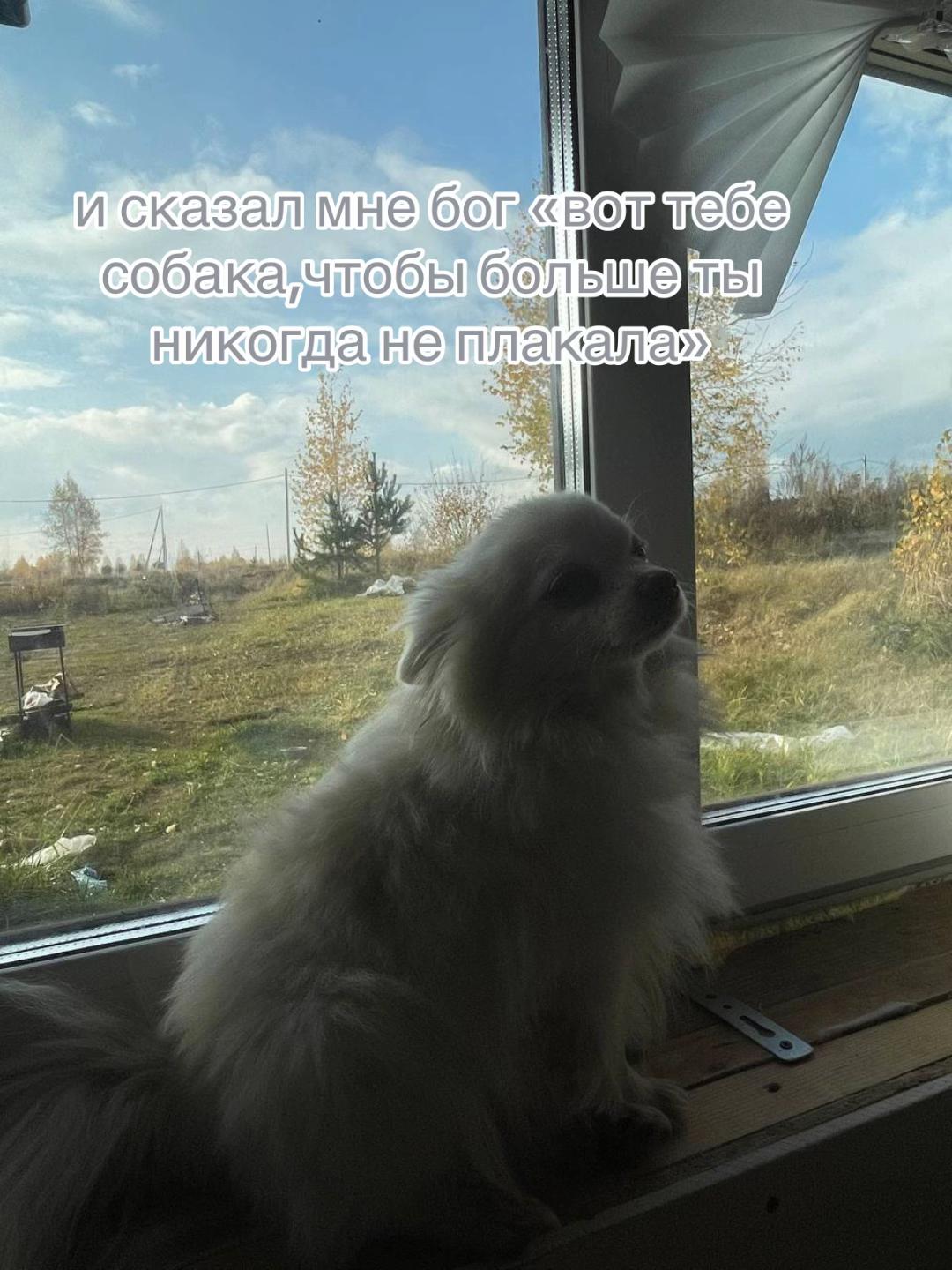 @варежка