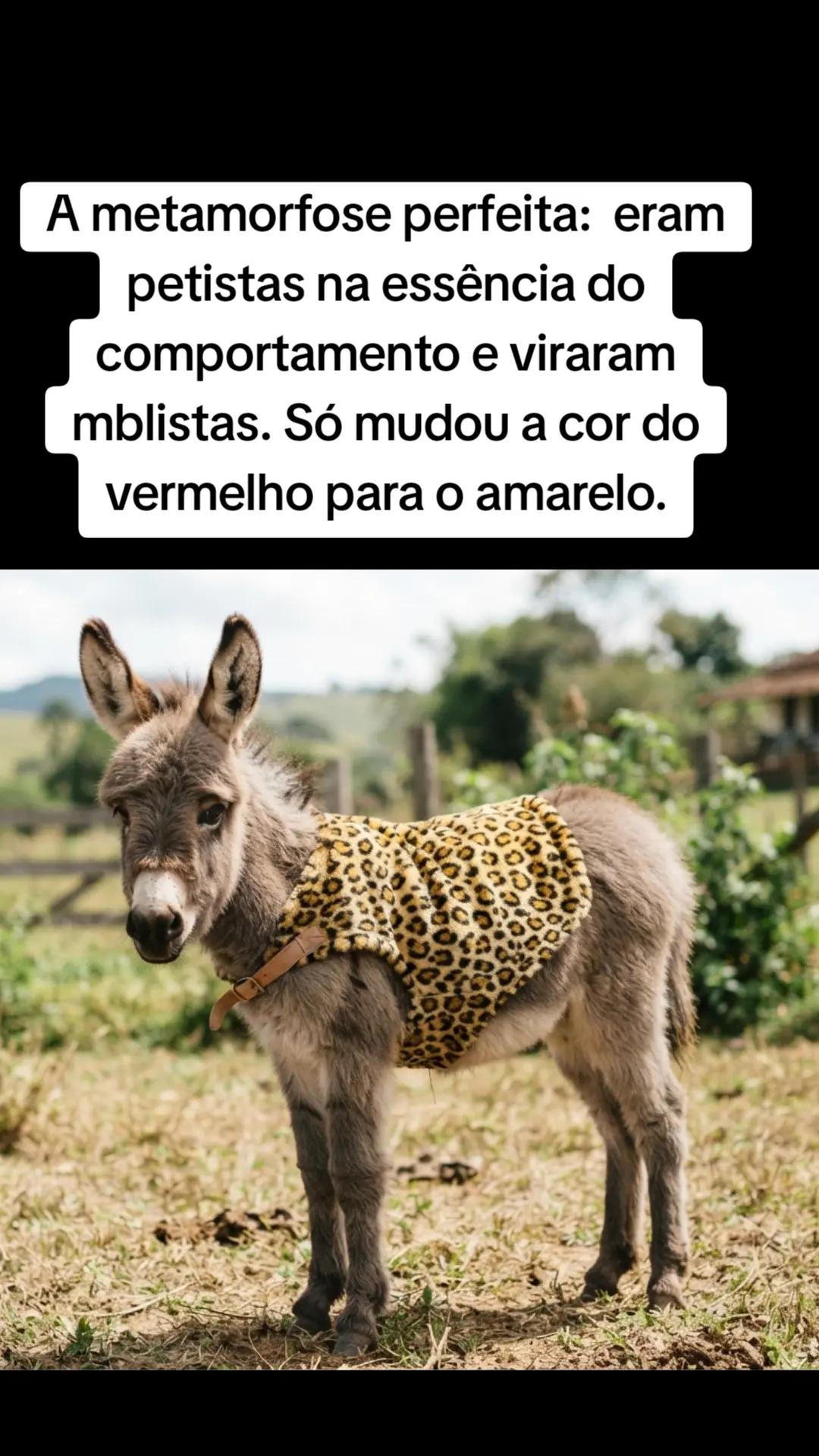 @Sou um jumento com orgulho.