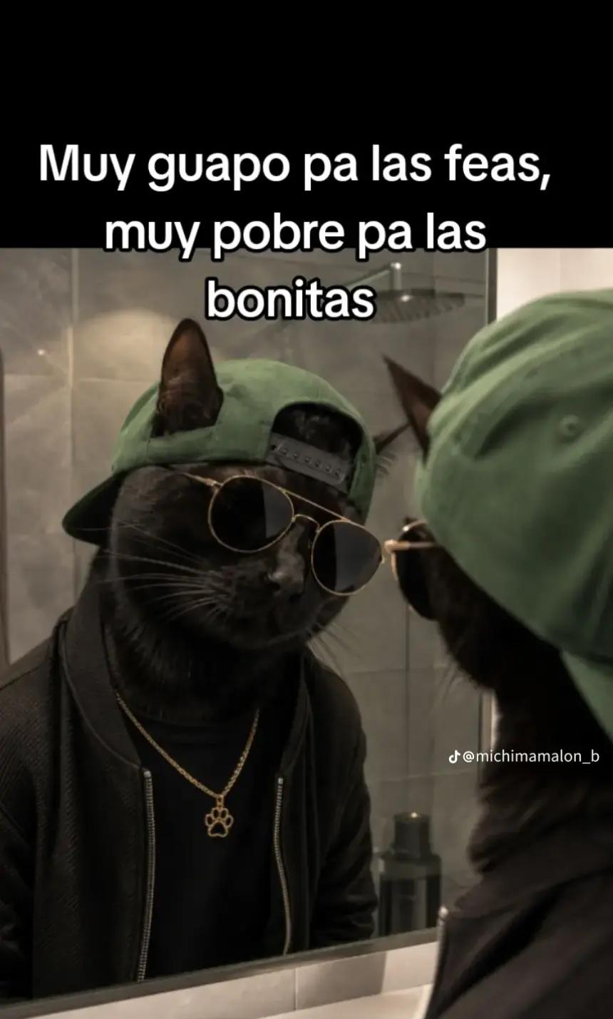 @Héctor Carrillo777