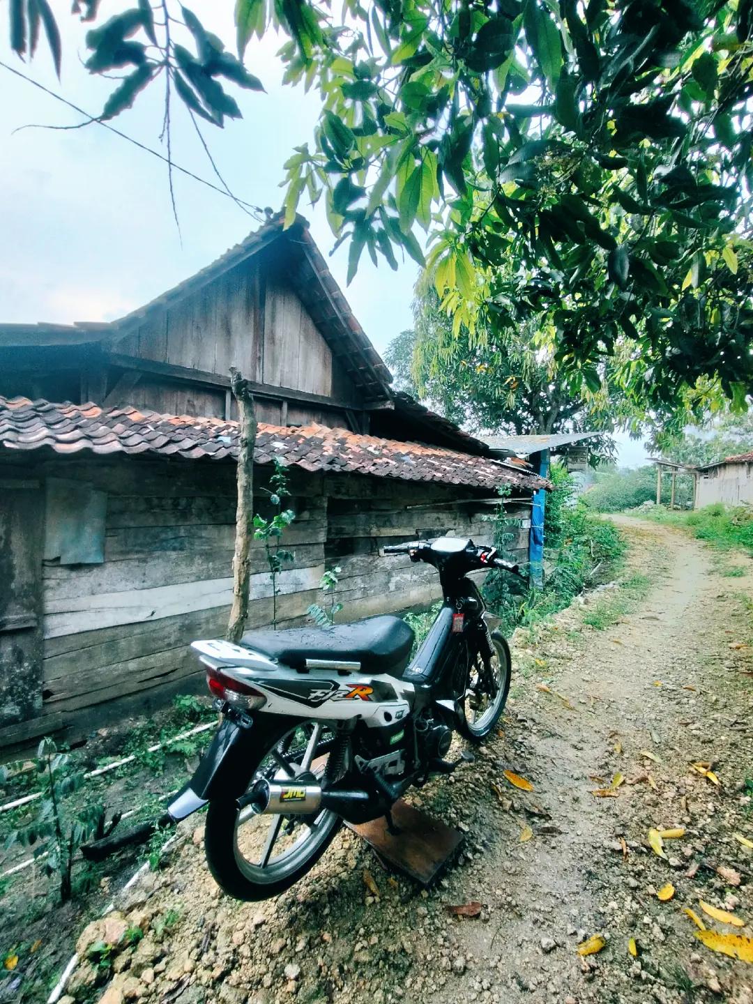 @NOGOSARI 🦆