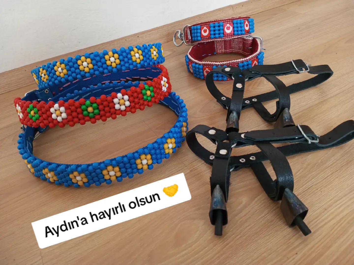 @Hasan Latifoğlu