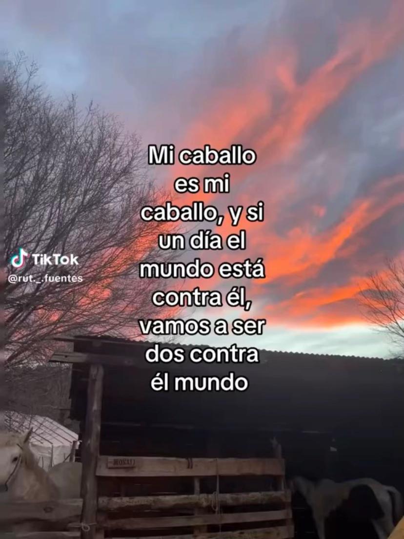 @Aldana lopez