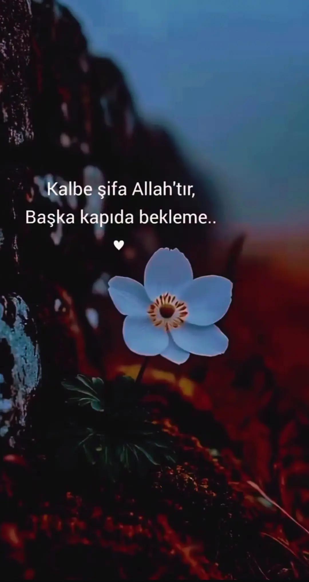 @06.02.2023. 4.17