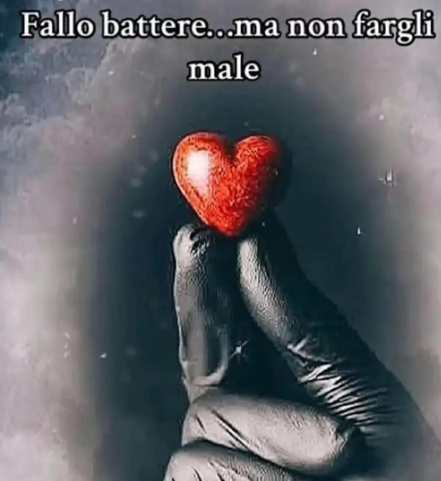 @fra48