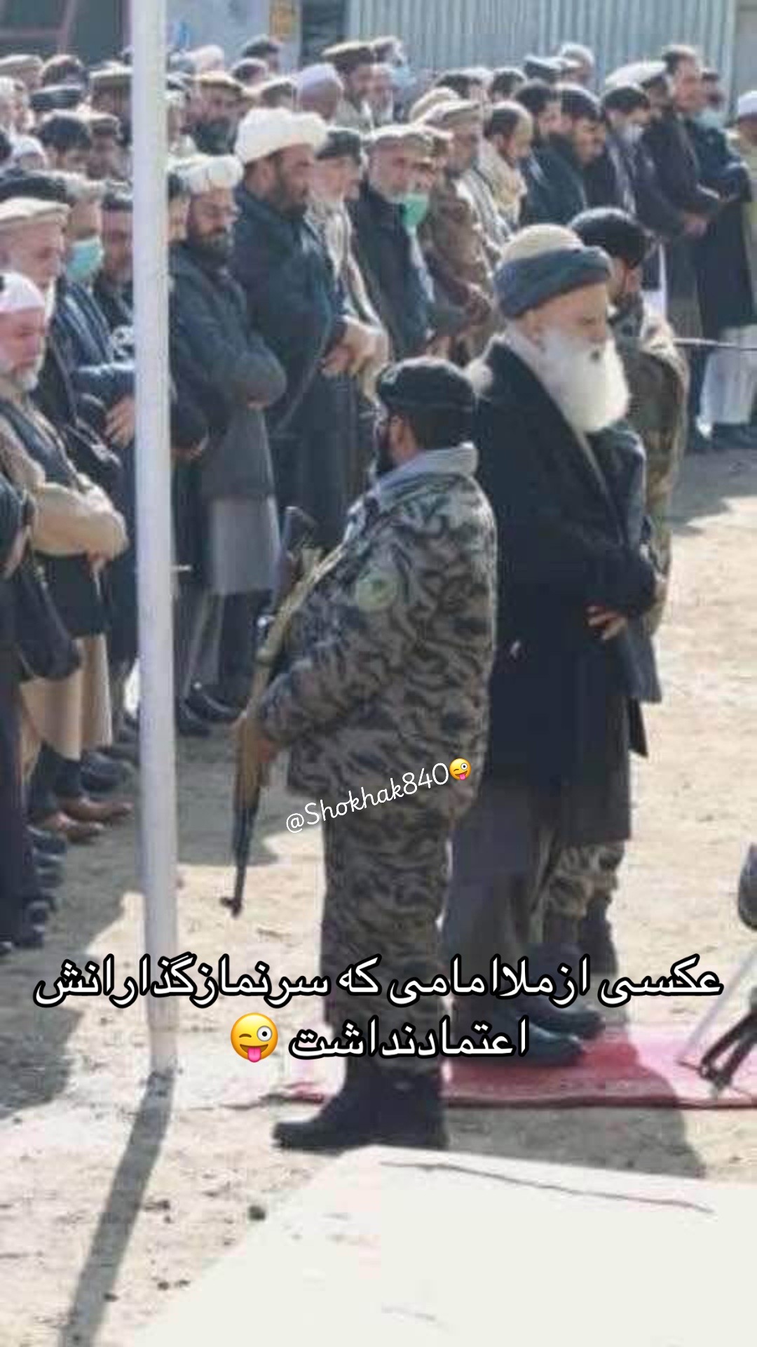 @شوخک Shokhak