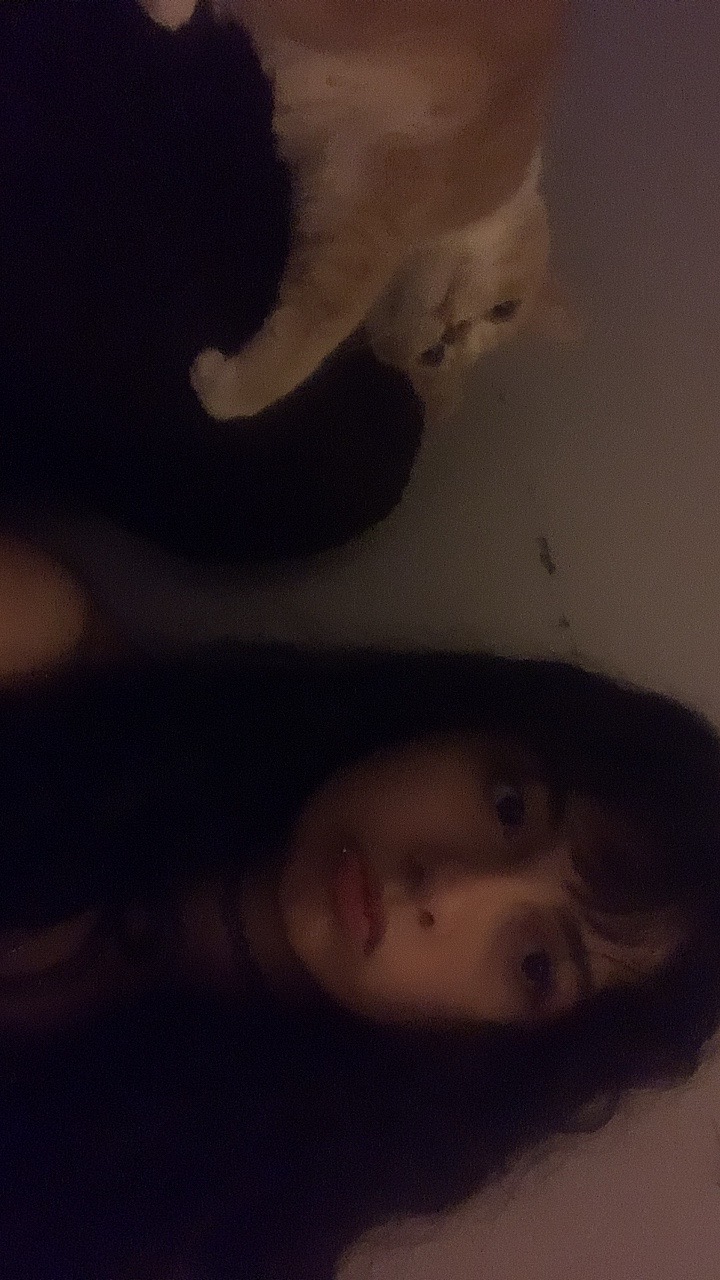 @nyanmuffin17