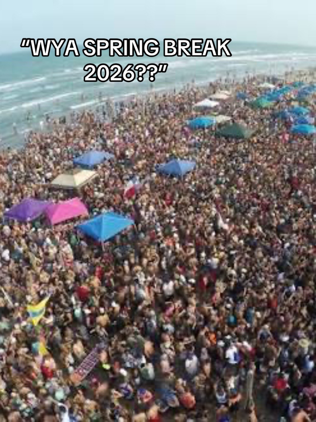 @MiamiSpringBreak