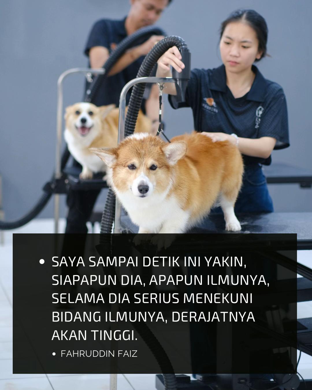 @KAZU