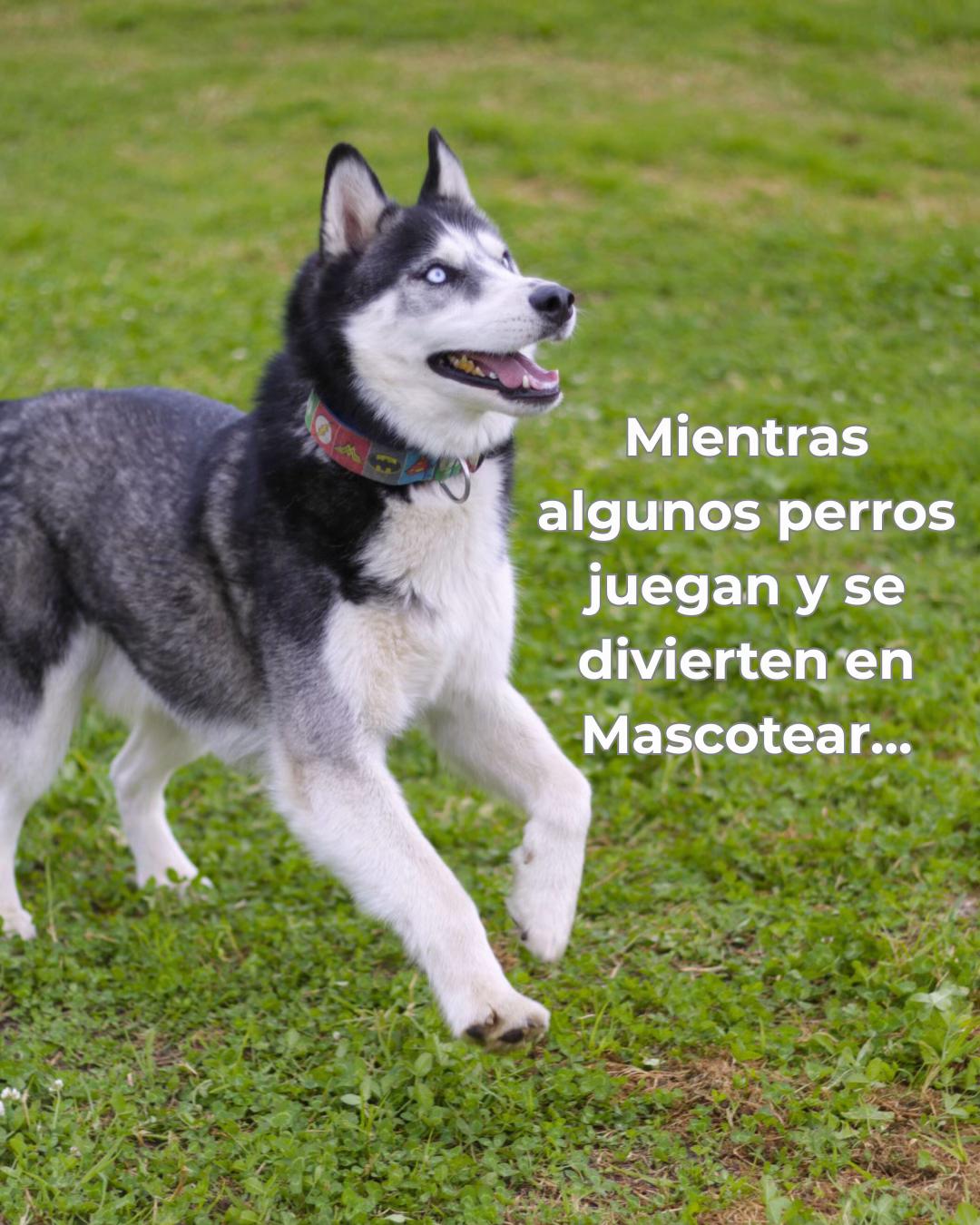 @Mascotear Guardería