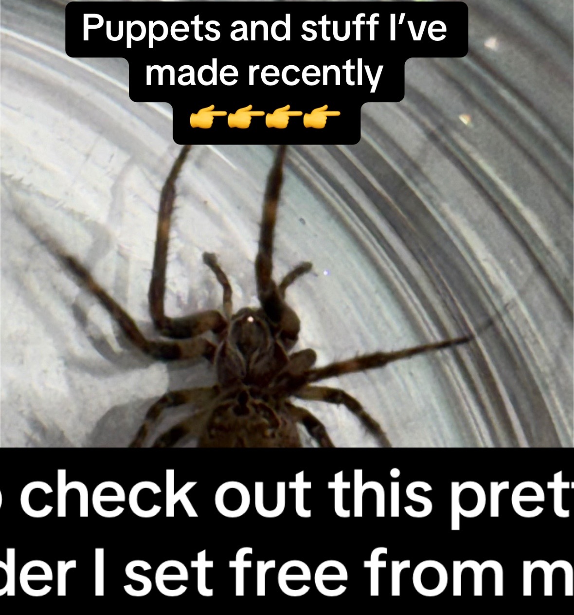@CryptidsInYourCloset
