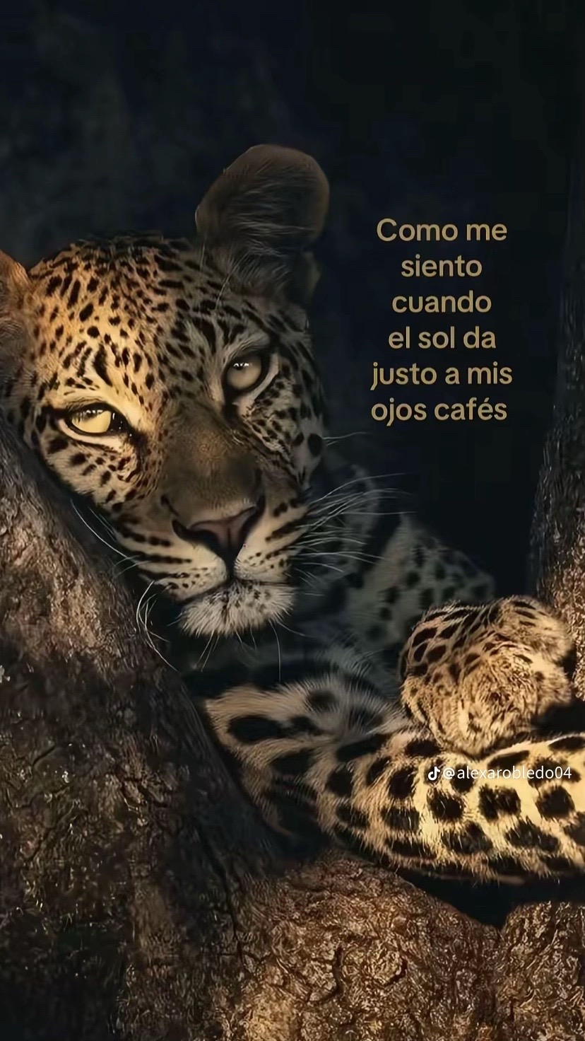 @María