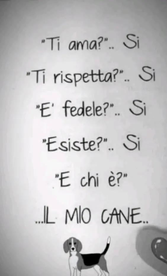 @leyla