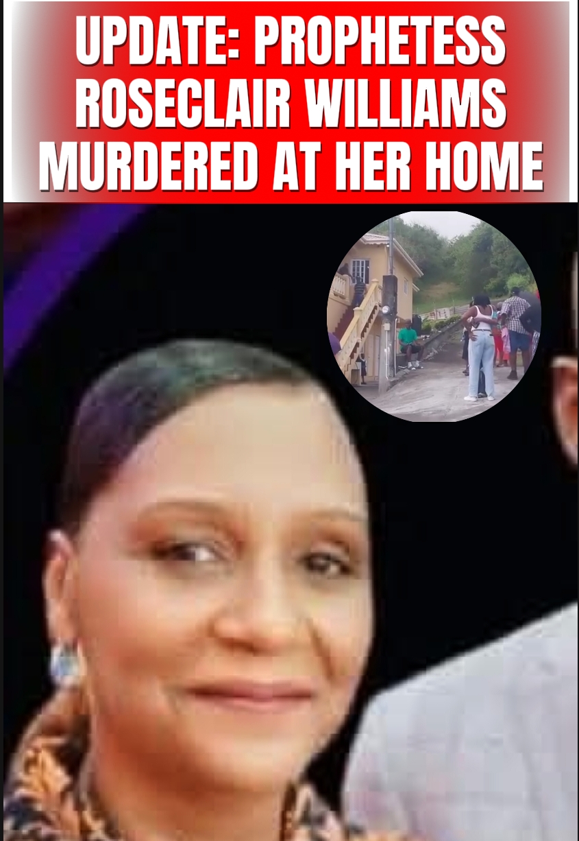 @The Vincy Brief